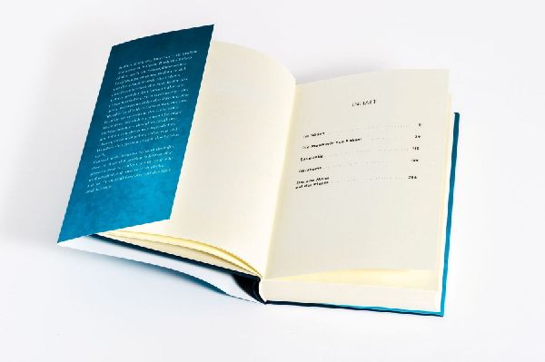 Produktbild: Die elfte Stunde