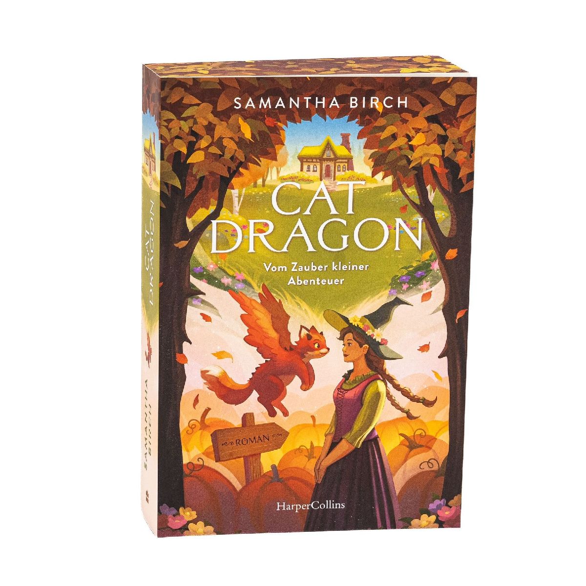 Produktbild: Cat Dragon. Vom Zauber kleiner Abenteuer
