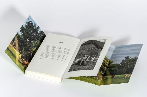 Produktbild: Landl(i)eben