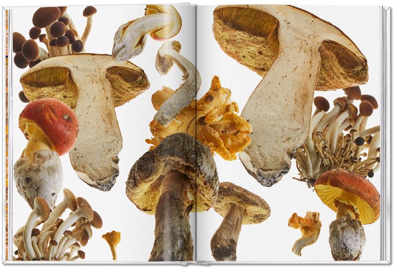 Produktbild: The Gourmand's Mushroom