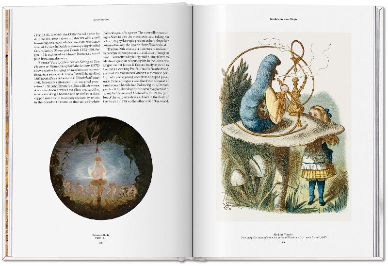 Produktbild: The Gourmand's Mushroom