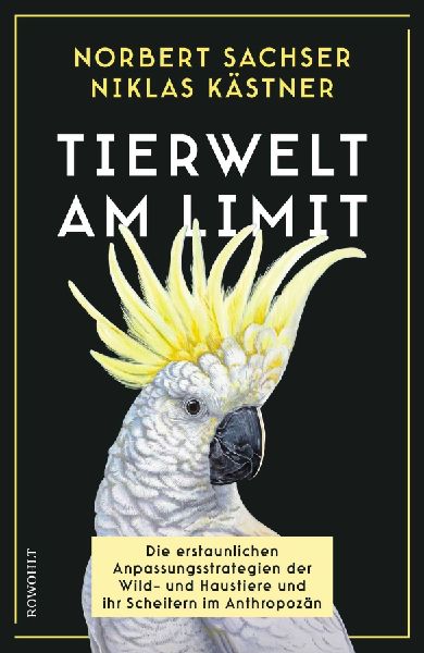 Produktbild: Tierwelt am Limit