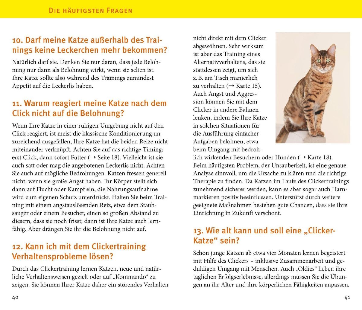 Produktbild: Katzen-Clicker-Box