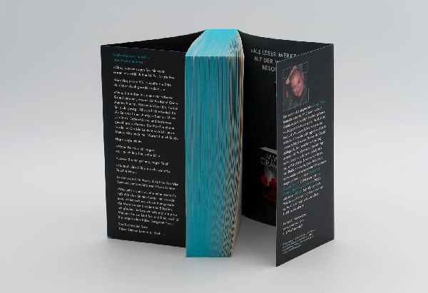 Produktbild: Die Witwe