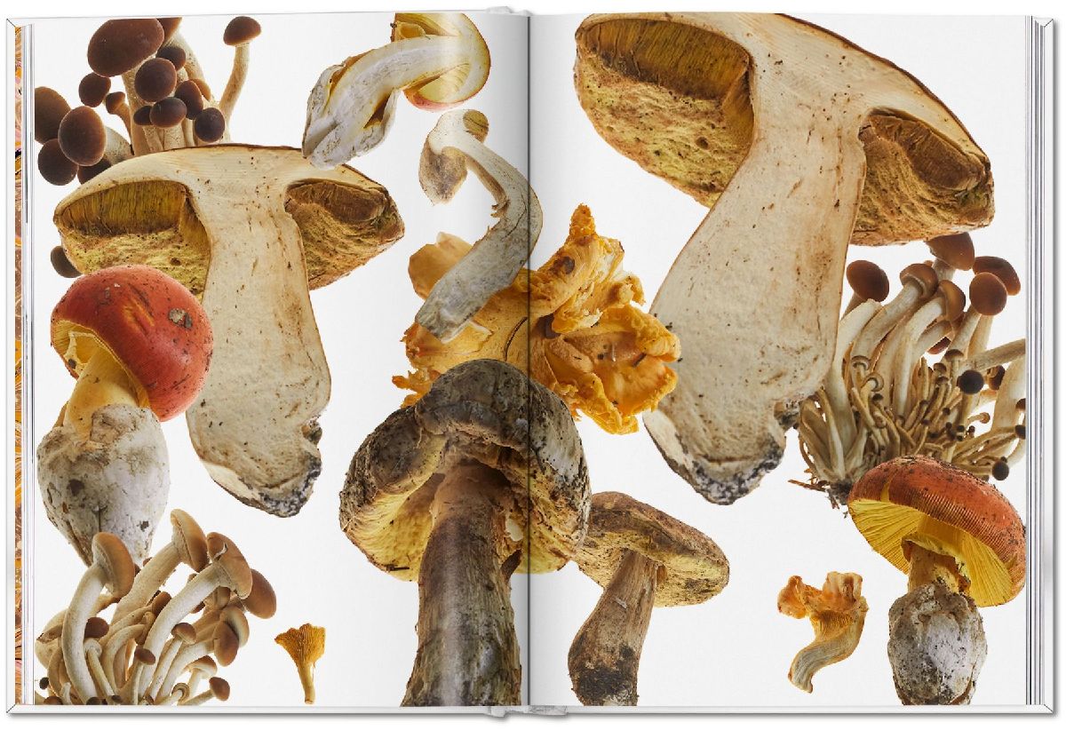 Produktbild: The Gourmand's Mushroom