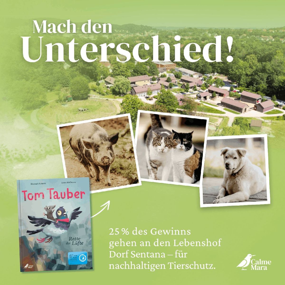 Produktbild: Tom Tauber - Ratte der Lüfte