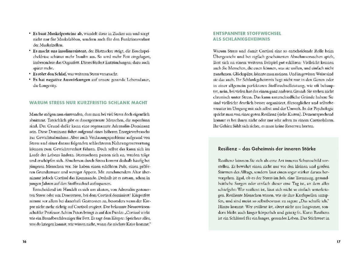 Produktbild: Der stille Dickmacher
