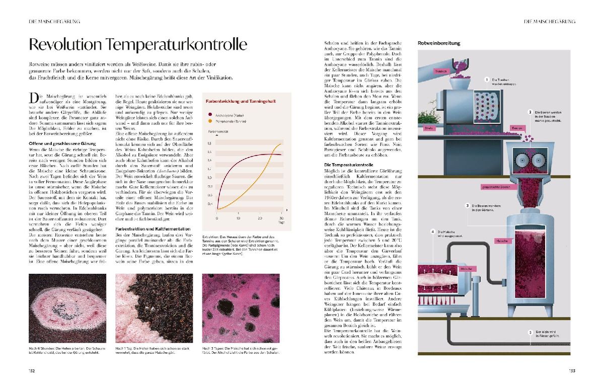 Produktbild: Wein - Die große Schule