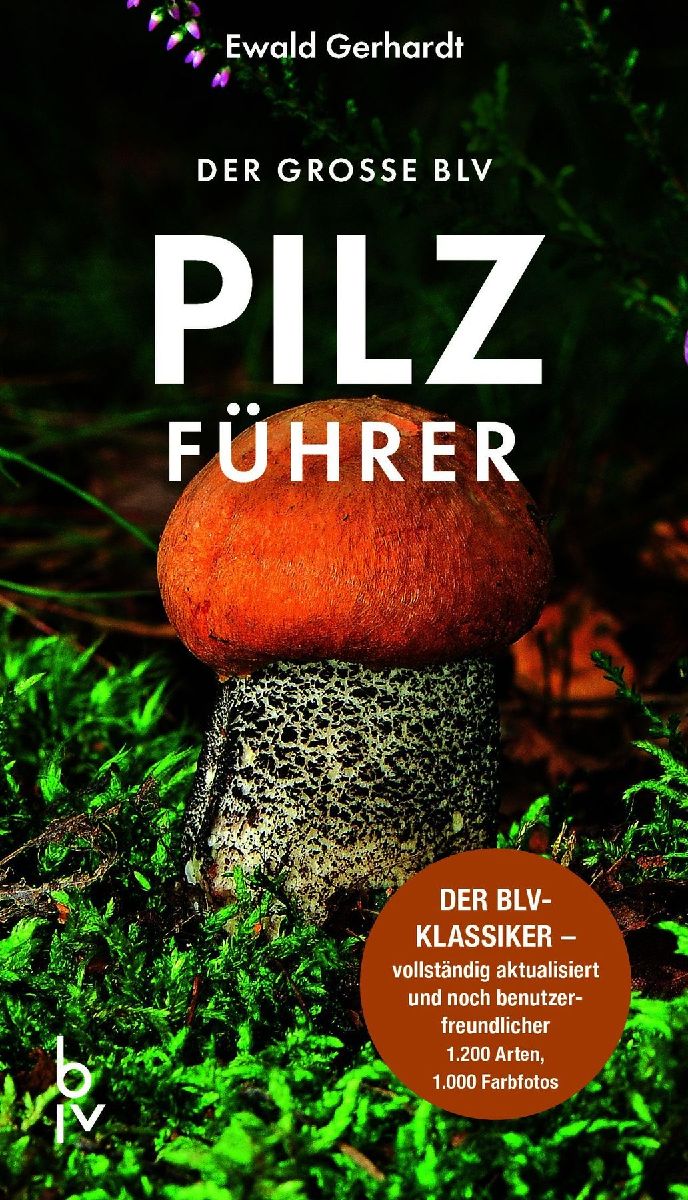 Produktbild: Der große BLV Pilzführer