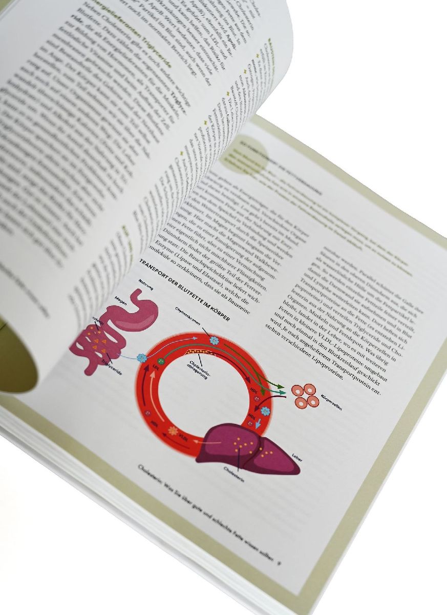 Produktbild: Die Ernährungs-Docs - Cholesterin senken - Unsere 100 besten Rezepte