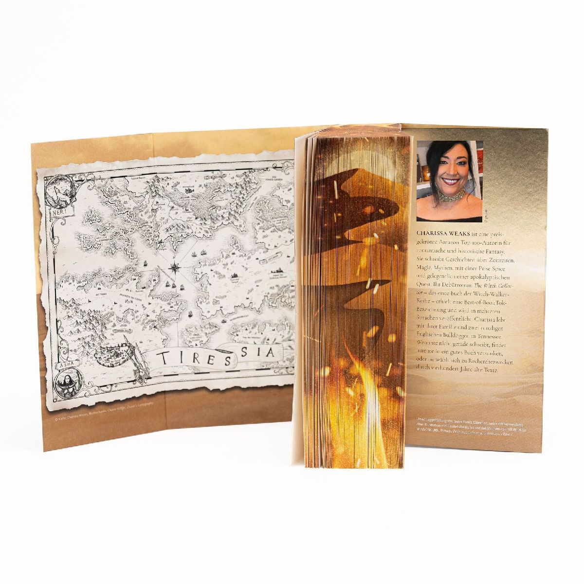 Produktbild: City of Ash and Ruin