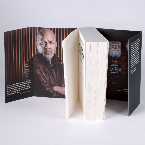 Produktbild: Oxen. Interregnum