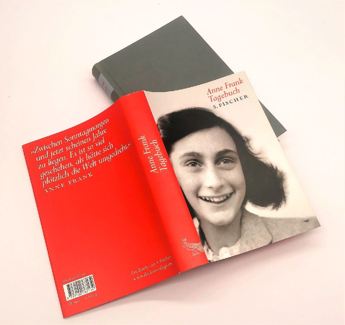Produktbild: Tagebuch
