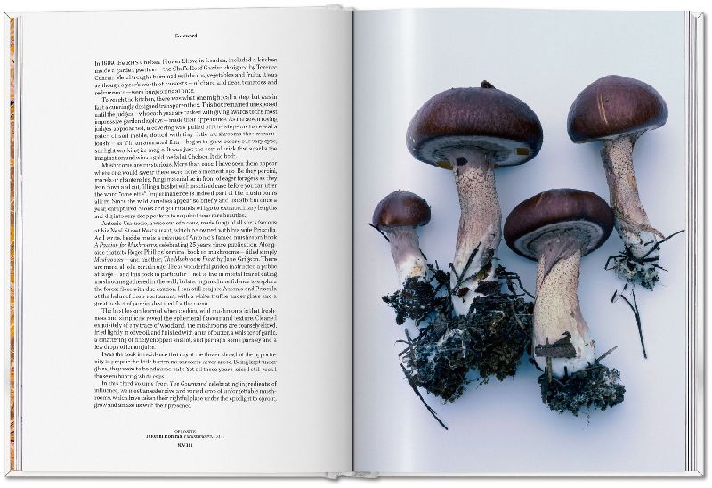 Produktbild: The Gourmand's Mushroom