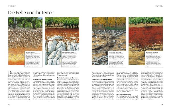 Produktbild: Wein - Die große Schule